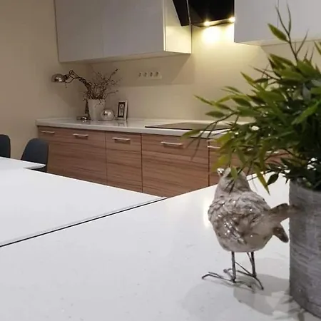 Penthouse Center Czewa Częstochowa