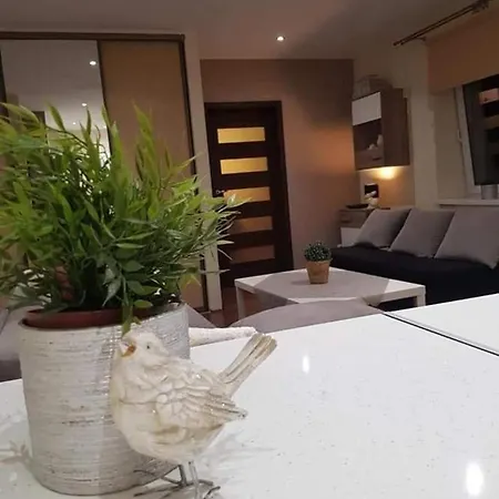 Penthouse Center Czewa Częstochowa