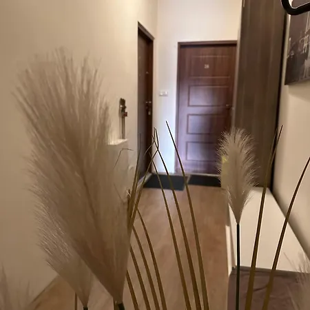 Penthouse Center Czewa