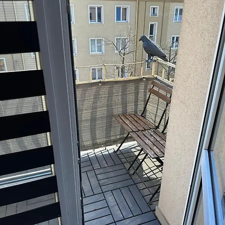 Penthouse Center Czewa Częstochowa