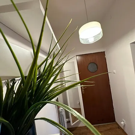 Apartamento Penthouse Center Czewa